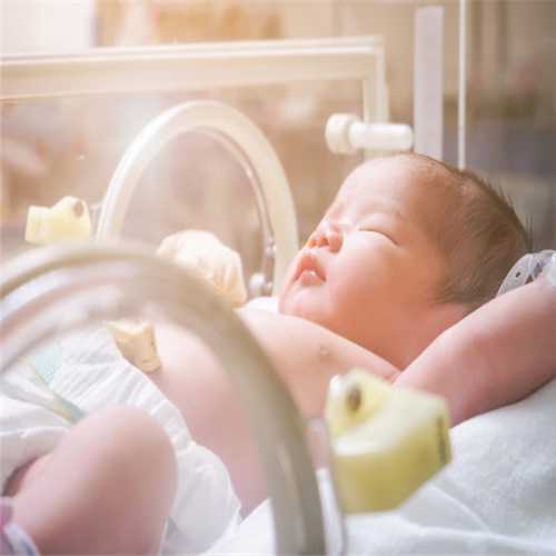 试管婴儿怀双胞胎的几率高吗？多胎移植会有哪些风险