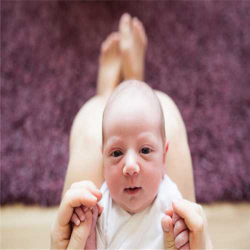 做试管婴儿之前应该怎样调理卵巢来提高成功率呢？